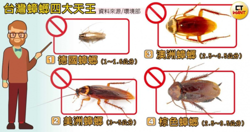 1781501532684622.png